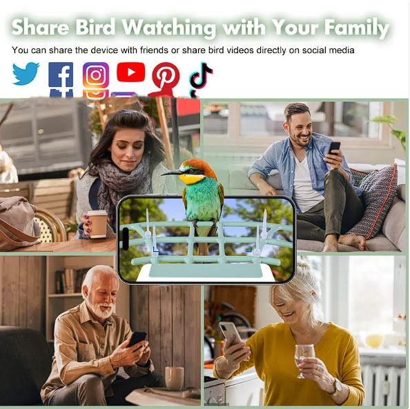 Solar-Powered Bird Feeder with Camera