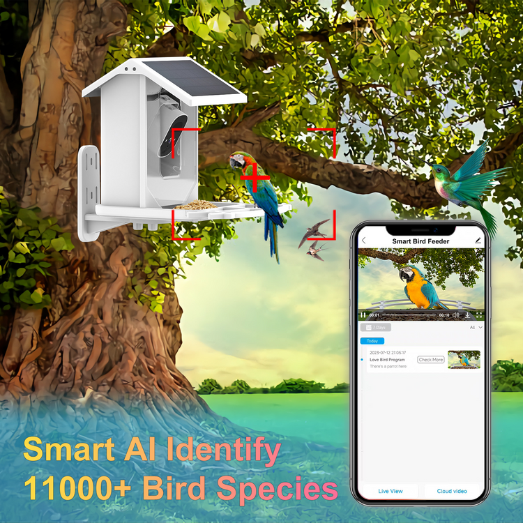 Solar Smart Bird Feeder with Camera