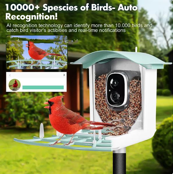 Solar-Powered Bird Feeder with Camera