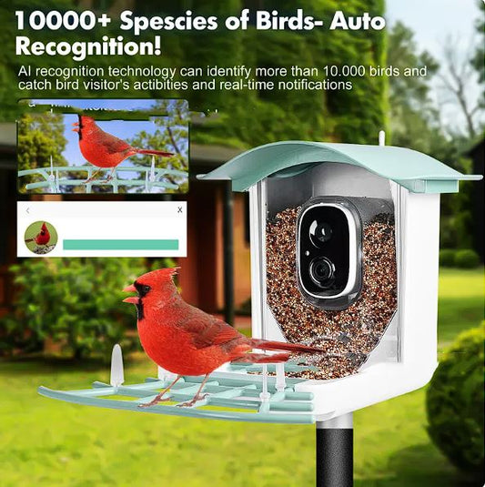 Solar-Powered Bird Feeder with Camera