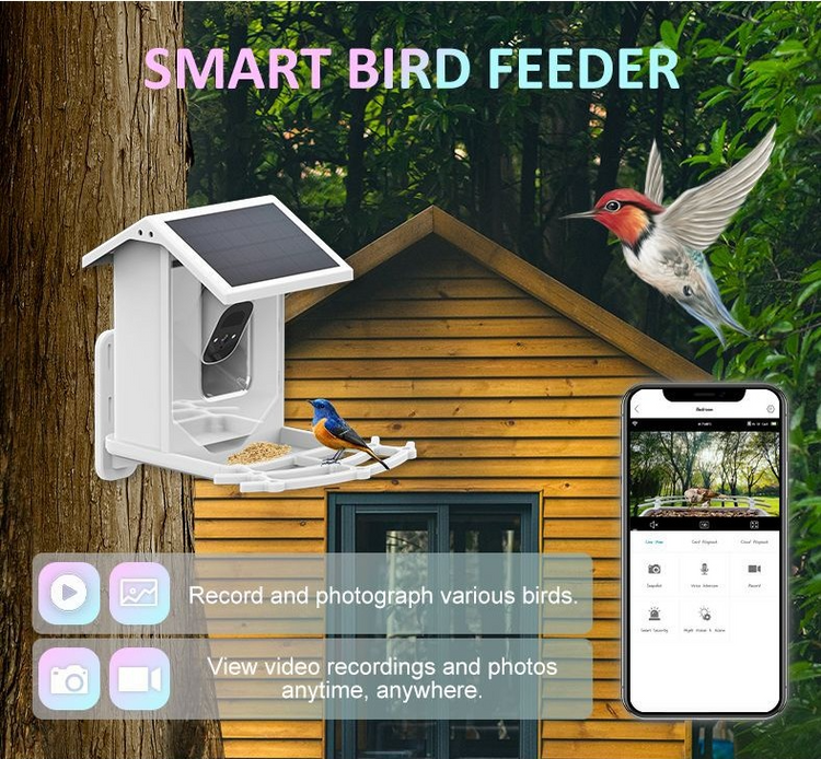 Solar Smart Bird Feeder with Camera