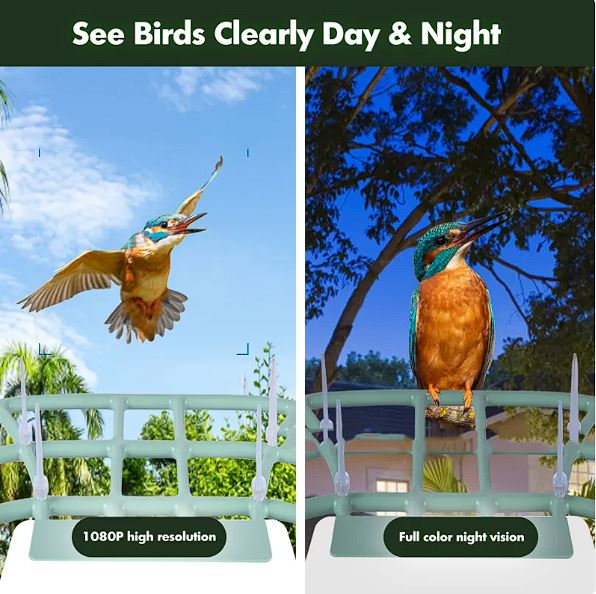 Solar-Powered Bird Feeder with Camera