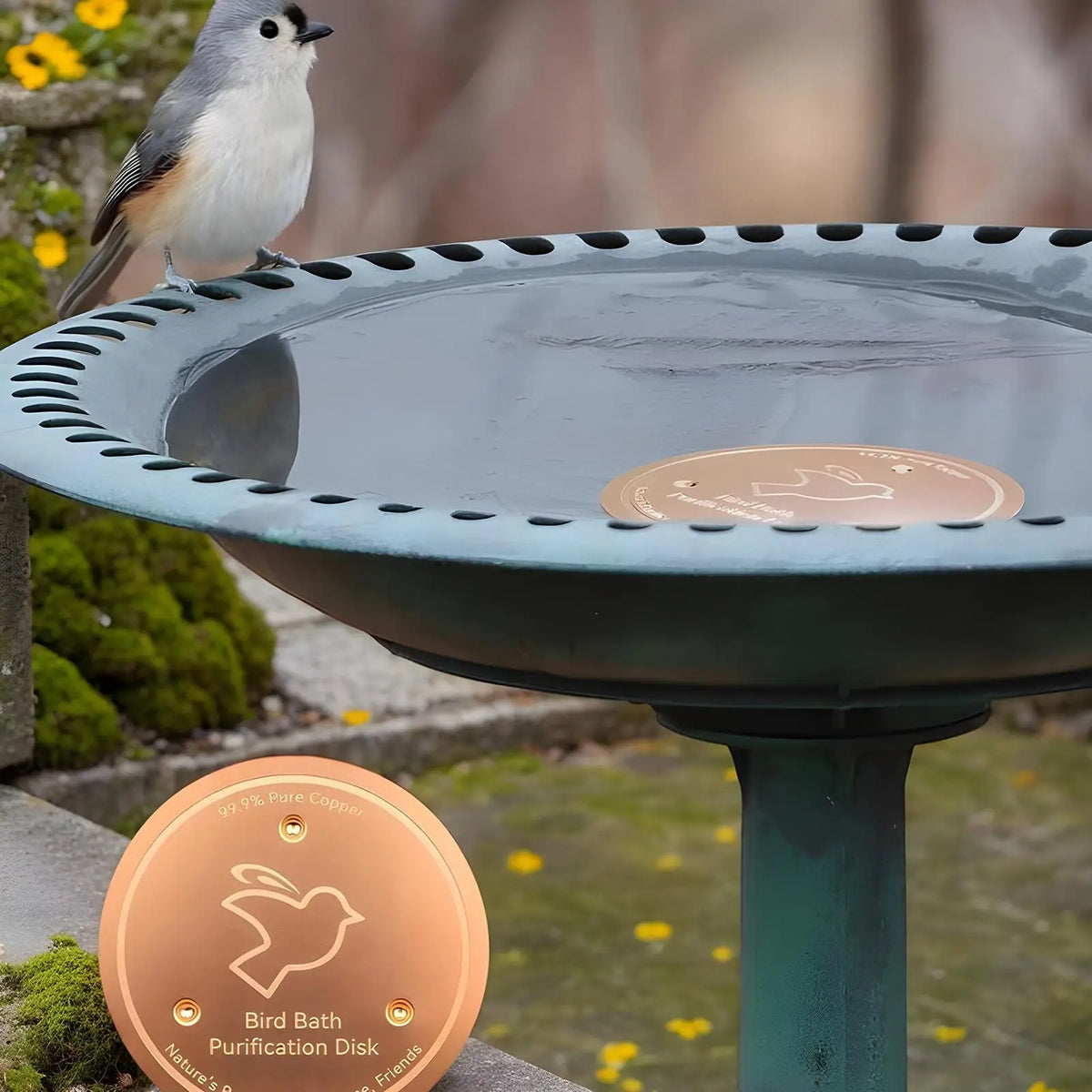 Copper Bird Bath Purifier Disk – Keeps Birdbath Water Clean & Fresh