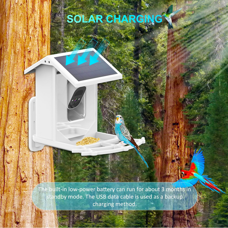 Solar Smart Bird Feeder with Camera
