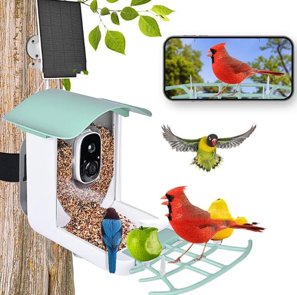Solar-Powered Bird Feeder with Camera