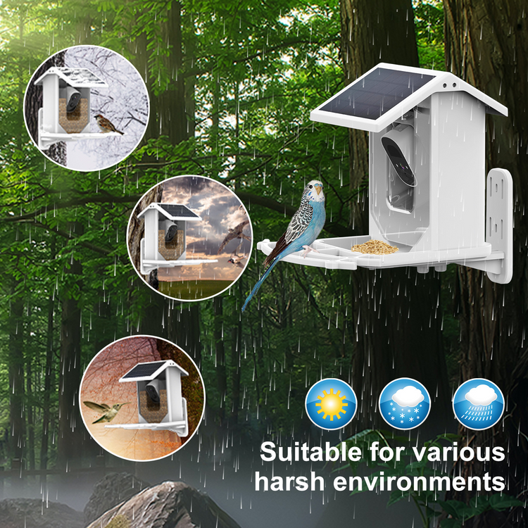 Solar Smart Bird Feeder with Camera